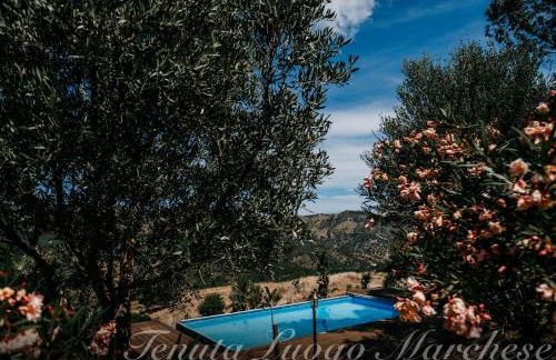 Tenuta Luogo Marchese - Foto 6