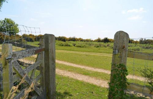 Holmans NEW FOREST - Photo 31