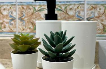 Apartamento en Centro - Vial - Foto 12