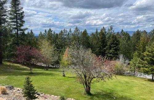 Little Cabin in the Woods. - Foto 47