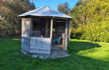 Crisoline - Foto 31