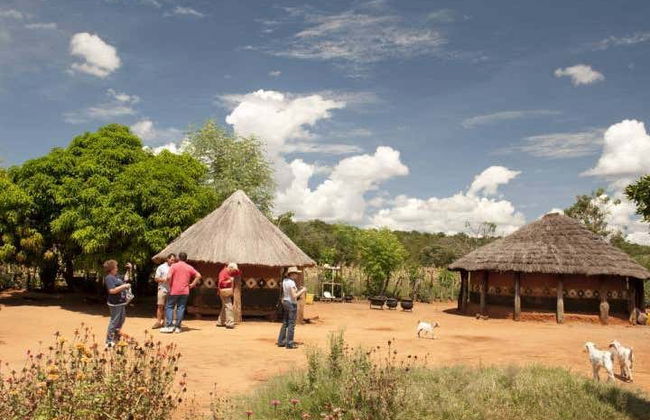 Safari de 10 días por lo mejor de Zambia - Foto 5