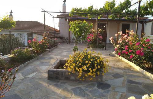 Koeni House - Foto 34