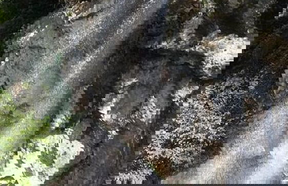 Zagnos Vadi Daire - Foto 9