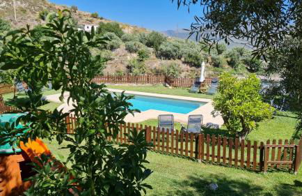 Tropical Studio - Foto 49