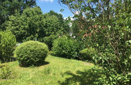 Vor den Toren Bambergs - Einfamilienhaus mit Garten! - Foto 9