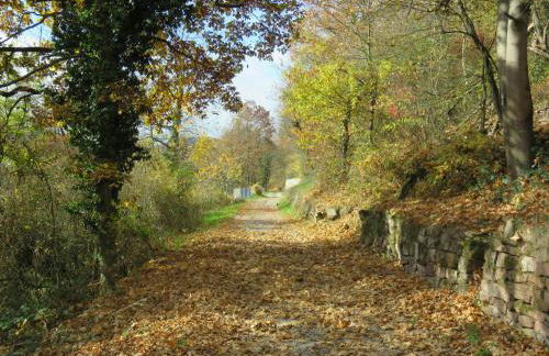 Ferienwohnungen Haus Albert - Foto 36