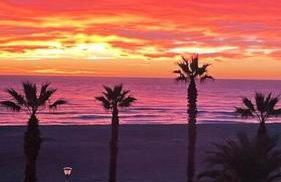 Bel appartement vue mer accès direct plage - Foto 11