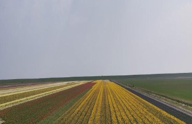 Detached House With Dishwasher Near the Sea - Foto 38