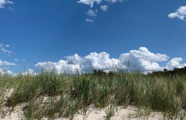 Ferienwohnung Thiemig - Foto 8