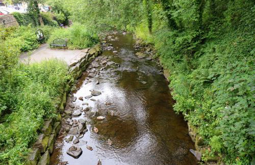 Valley View Cottage - Foto 26