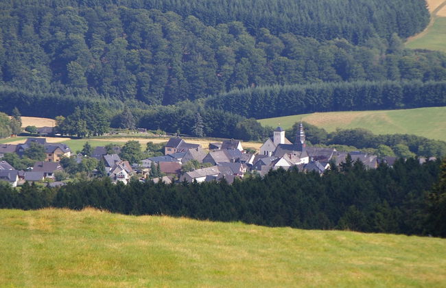 Lovely Holiday Home in Stipshausen With Terrace - Foto 21