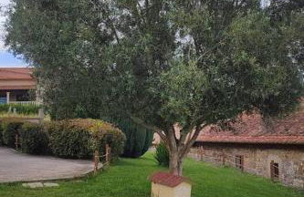 VILLA SOLLEIRO - Photo 26