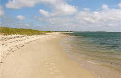 Cape Escape Chatham 5 Star Beach Chic 5 Min Walk to Beach-Newly Renovated Private Retreat AC - Foto 47