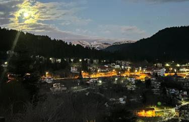 Πατρικό ολόκληρος ξενώνας entire stone guesthouse - Foto 44