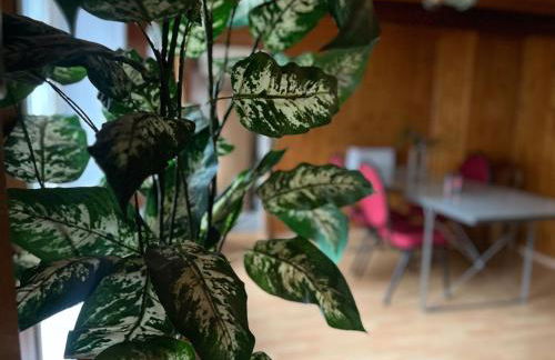 Drei Linden Harz - Foto 11