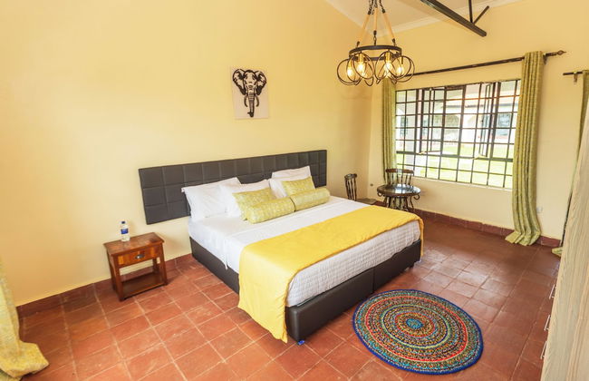 Ene Hacienda - Foto 4