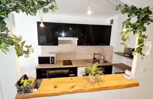 LE PETIT THAI 2 Pièces Climatisé Centre ville avec balcon - Foto 13