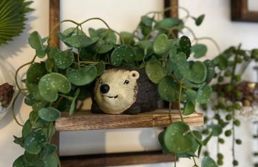 Jungle In The City ,Corfu - Kanoni - Foto 14