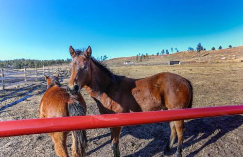 Cabin with Black Hills Views, 10 Mi to Mt Rushmore! - Foto 29