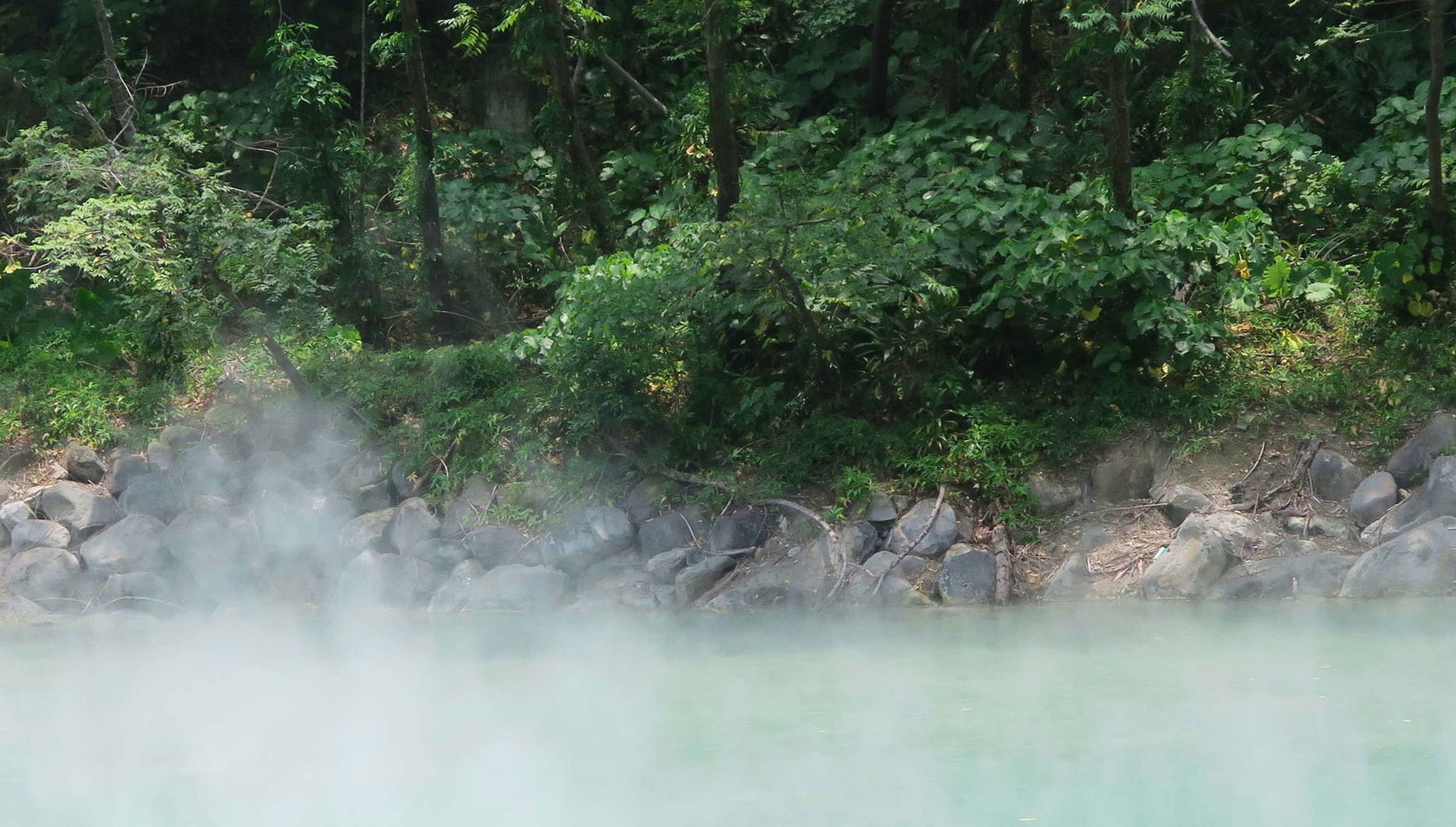 Excursión al río Mayantuyacu