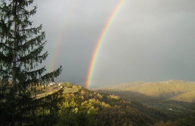 L'Angolo di Verlano - Foto 54