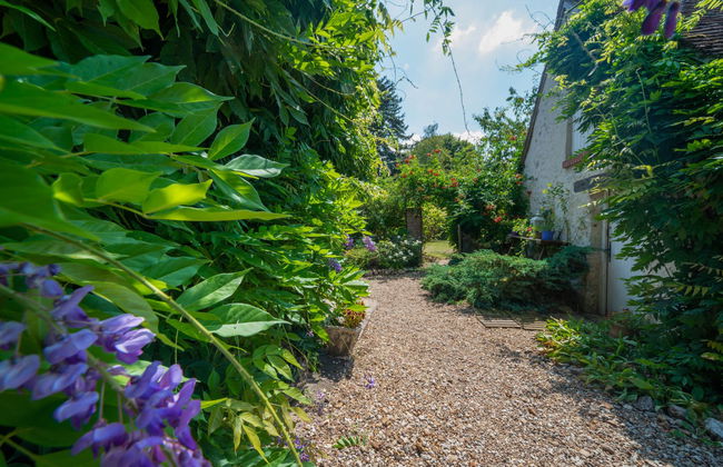 La Bachelotte - Foto 25