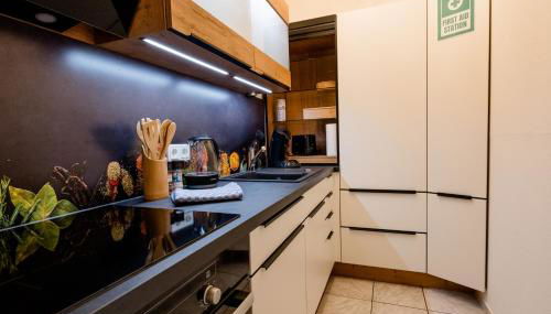 janu-homes - 2 Zimmer Apartment - 5 Betten, Schlossblick vom Römer - Photo 3, stove, dishwasher