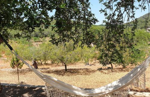 Sa Tanca den Marines ETV 1272 E - Foto 34