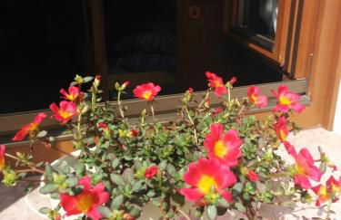 Casetta next to the Creek Dino Buzzati - Photo 64