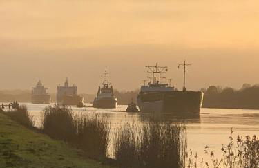 Großzügige Wohnung auf Resthof - Foto 1