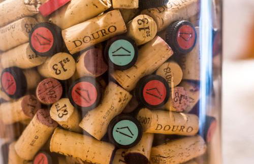 Morgadio da Calcada Douro Wine&Tourism - Foto 41