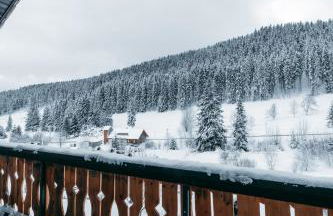 Black Forest Dream Apartments - Foto 8