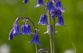 Gaer Fawr Barns - Photo 37