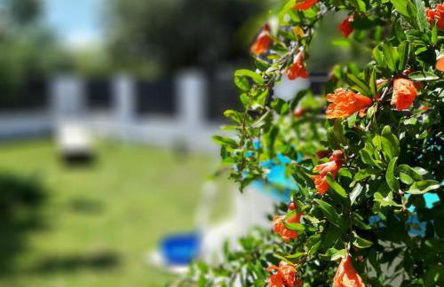 Vacation house with private pool and yard - Photo 14