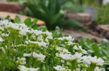 Żurawisko - Domki wśród natury - Foto 25