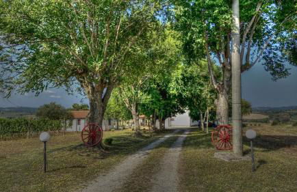 Agriturismo Uliveto Gretacci - Foto 17