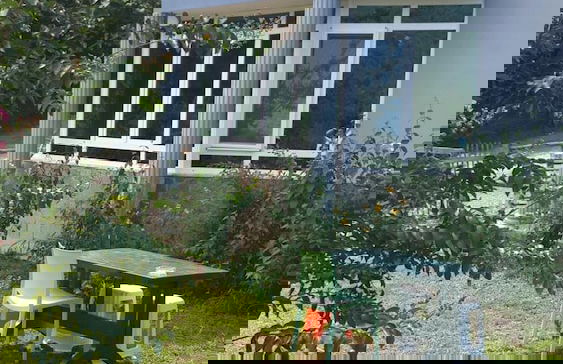 Cosy Park Apartment - Foto 34