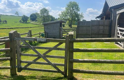 Viewpoint Studio - Foto 5