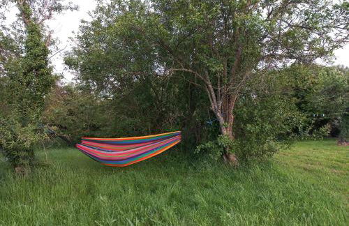 Les hirondelles - Foto 10