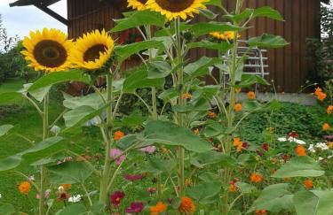 Ferienwohnung Wiesengrund - Foto 1