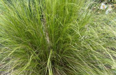 CERES HOME - Foto 12