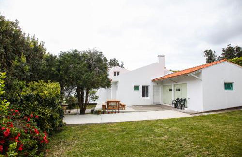 Adega do Mota - Photo 49