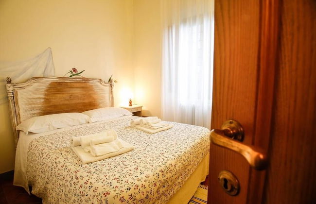 Gatto Bianco Tizzauli - Foto 15