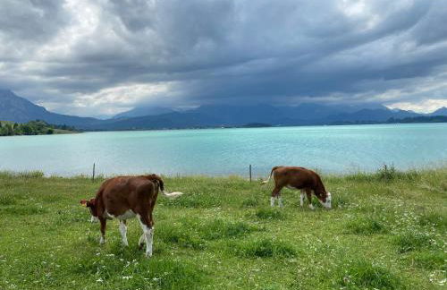Allgäu-Moni Trauchgau - Foto 17