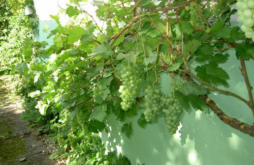 Ferienhaus Chalet Cottage Ourtalblick 2km von Vianden-Lux - Foto 9