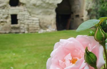 Studio cosy & ses troglos "Chez Evariste" - Foto 28