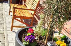 Gästehaus Zur alten Post - Foto 79