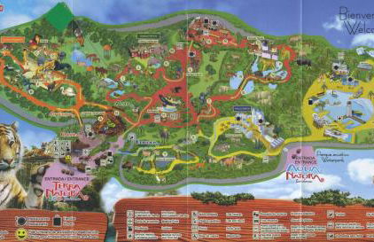 Apartment RoSol Albir Playa - Photo 30