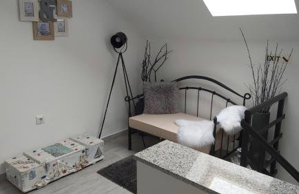 Studio apartman GRIZZLY - Foto 3